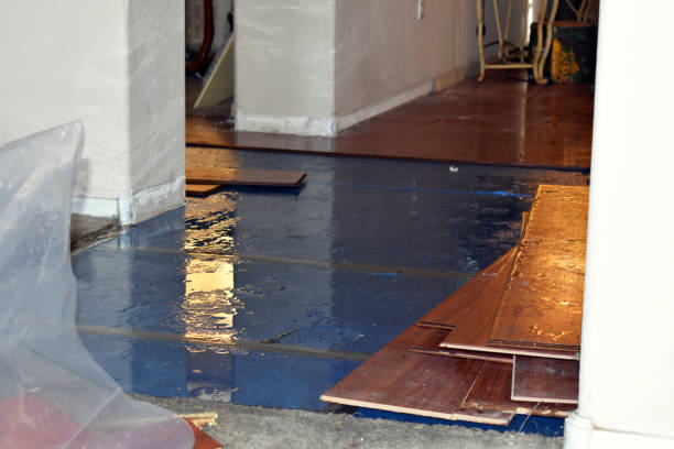 Professional Basement Flooding technician working in Brussels, WI